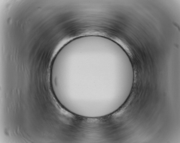 X0000096161094200801180846