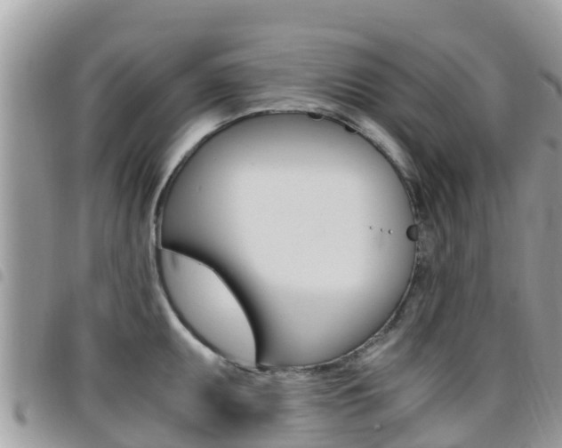 X0000096161095200801180846