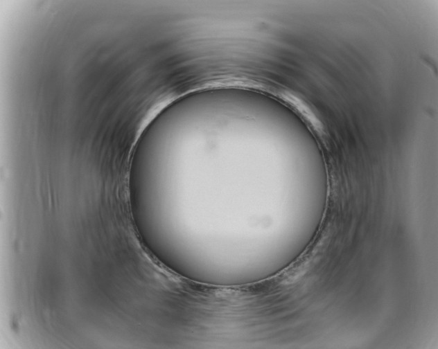X0000096161097200801180846