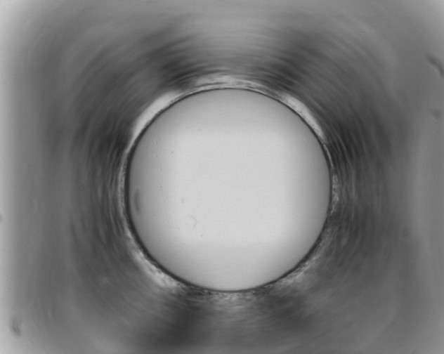 X0000096161098200801180846