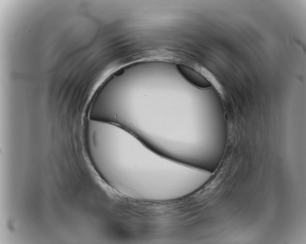 X0000096161099200801180846