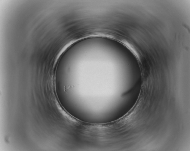 X0000096161100200801180846
