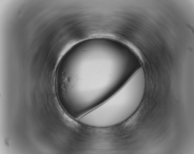 X0000096161102200801180846