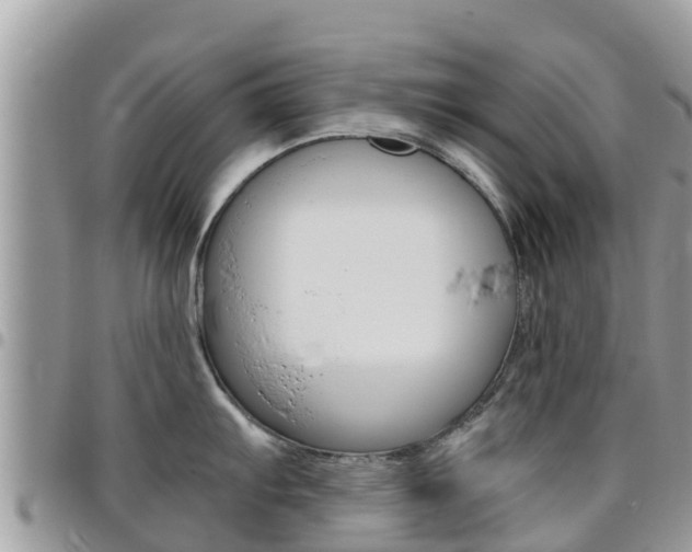 X0000096161103200801180846