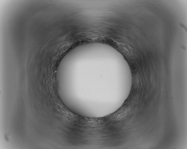 X0000096161105200801180845