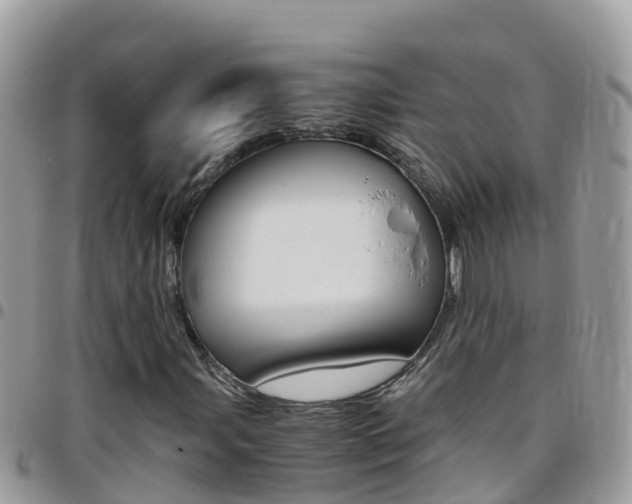 X0000096161107200801180845