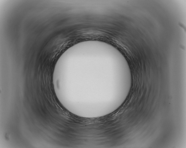 X0000096161108200801180845