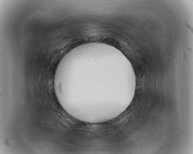 X0000096161109200801180845