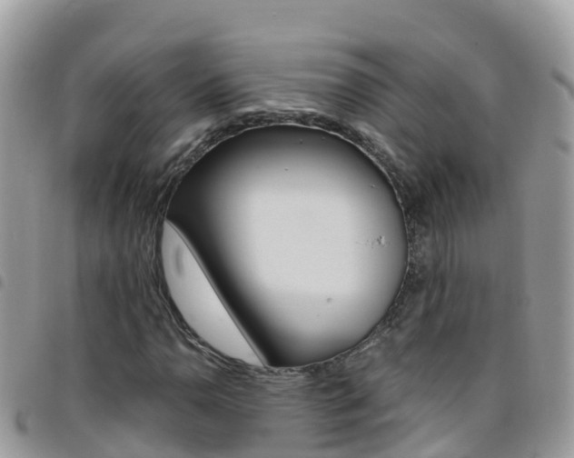 X0000096161110200801180845