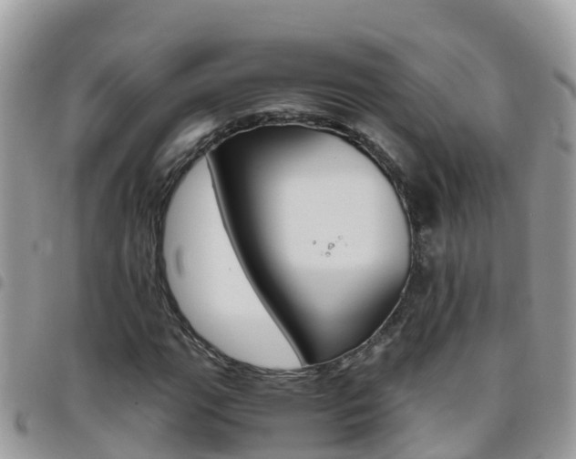 X0000096161111200801180845