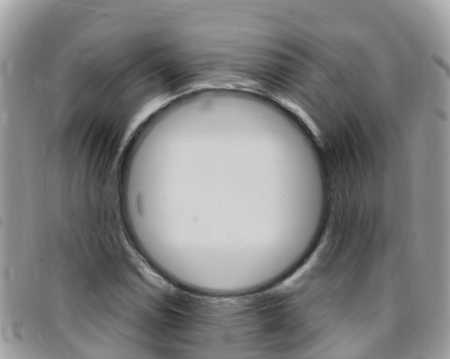 X0000096161114200801180845