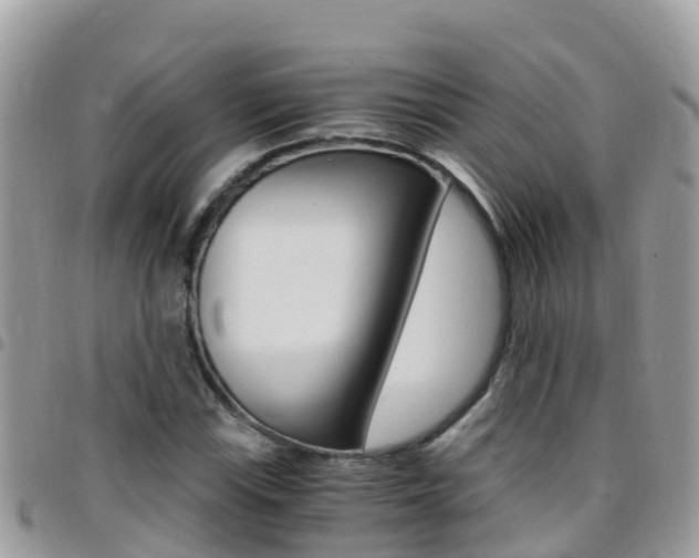 X0000096161115200801180845
