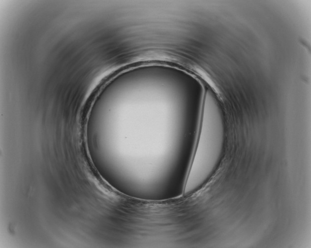 X0000096161116200801180845