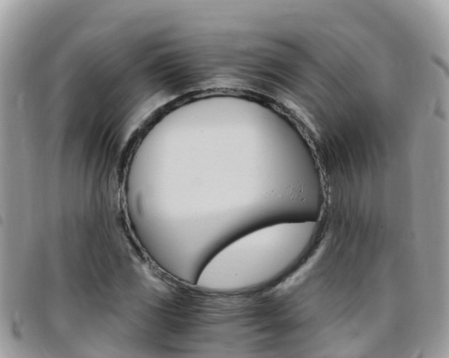 X0000096161117200801180845