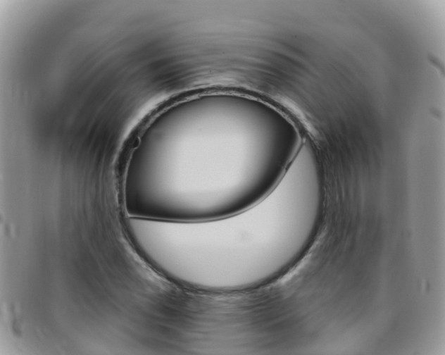 X0000096161118200801180845