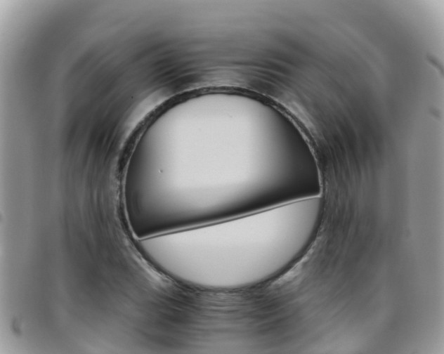 X0000096161119200801180845