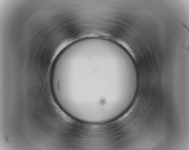 X0000096161122200801180845