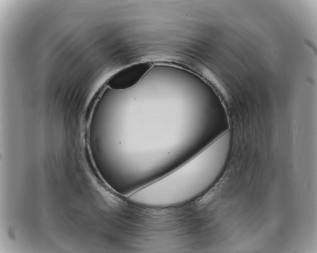 X0000096161124200801180845