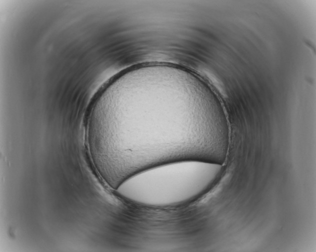 X0000096161125200801180845