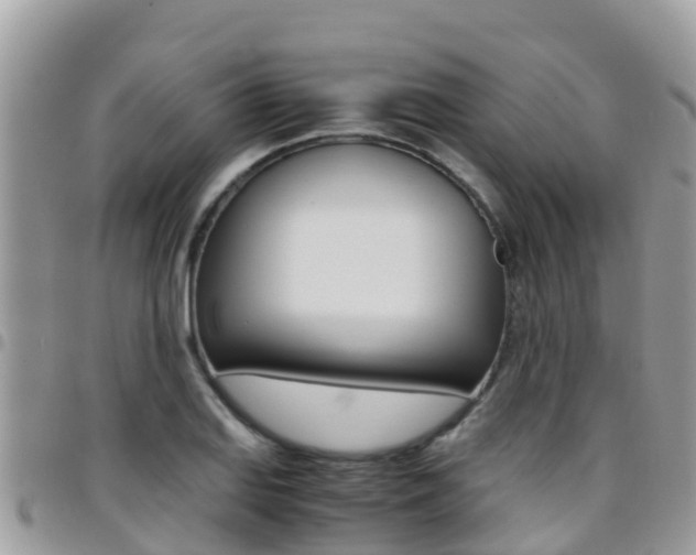 X0000096161127200801180845