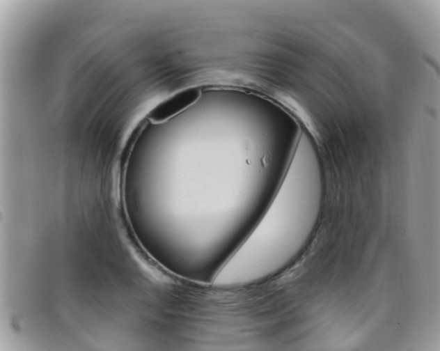 X0000096161128200801180846