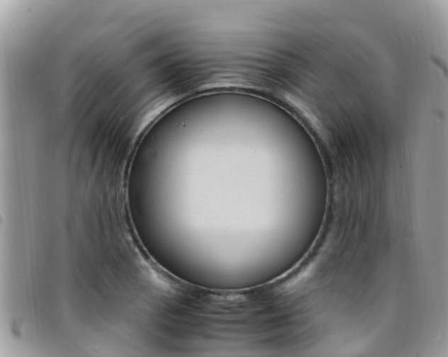 X0000096161129200801180846