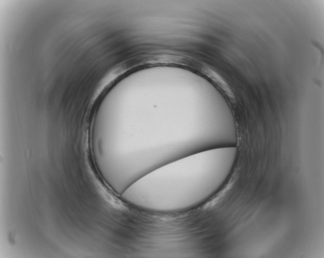 X0000096161130200801180846