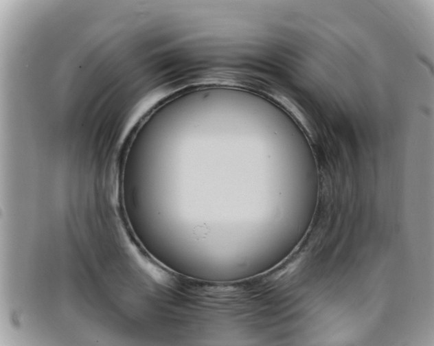 X0000096161131200801180846