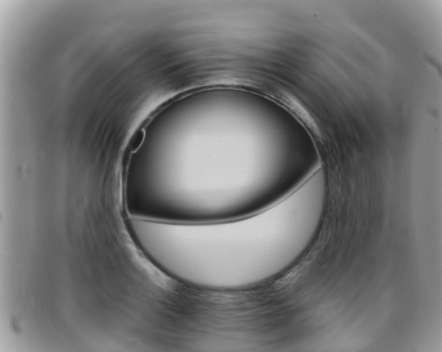 X0000096161132200801180846