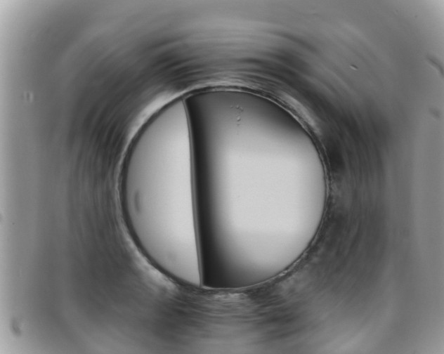 X0000096161133200801180846