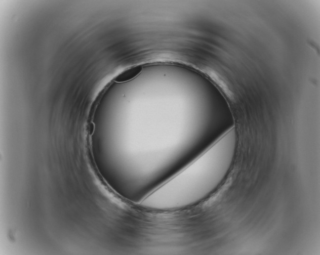 X0000096161134200801180846