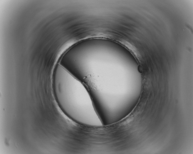 X0000096161135200801180846