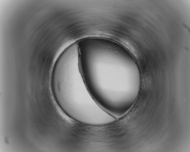 X0000096161136200801180846