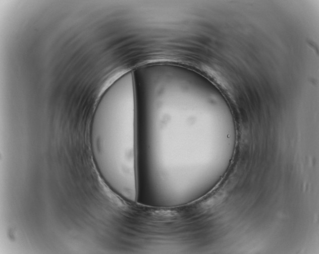 X0000096161137200801180846