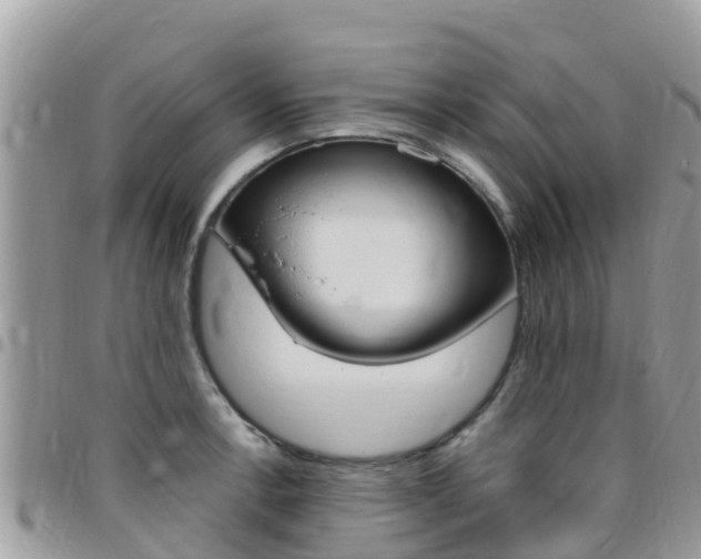 X0000096161138200801180846