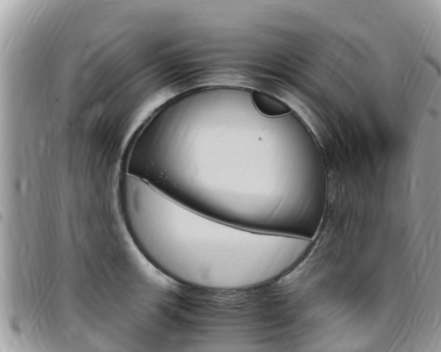X0000096161139200801180846