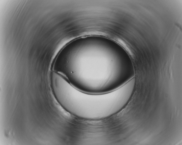 X0000096161140200801180846