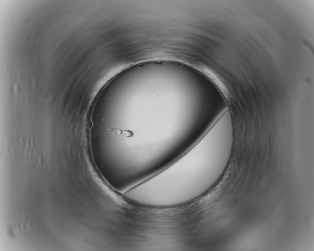 X0000096161142200801180846