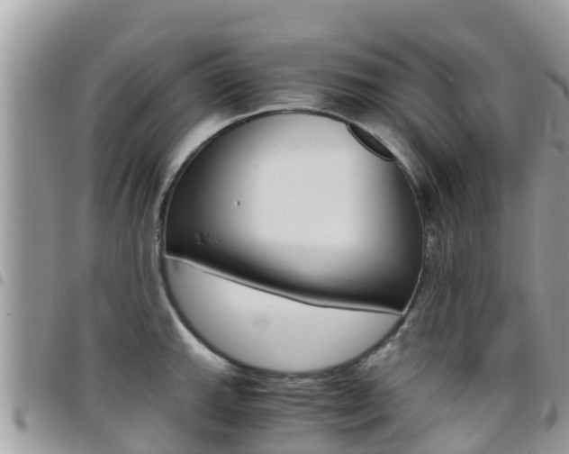 X0000096161143200801180846
