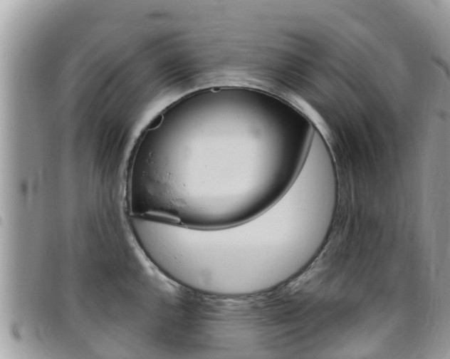 X0000096161144200801180846
