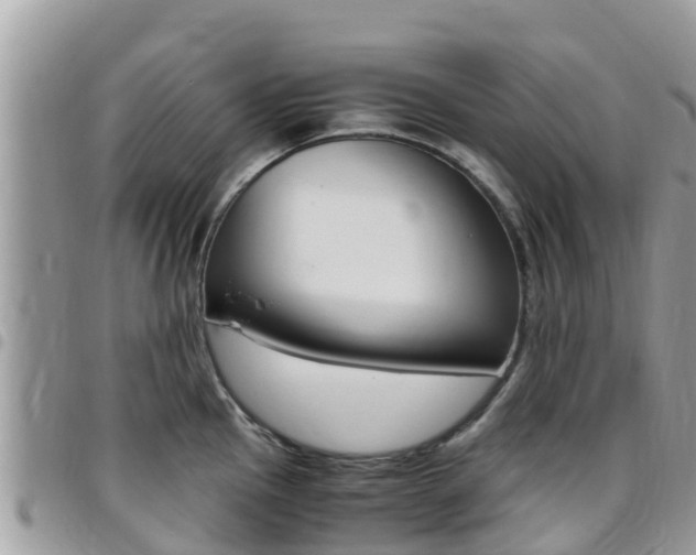 X0000096161145200801180846