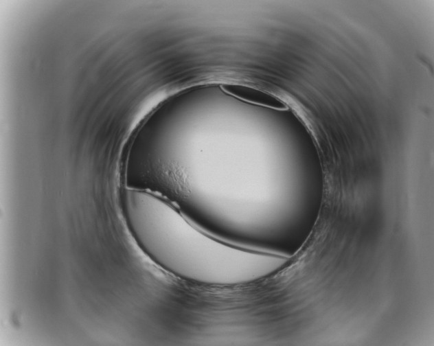 X0000096161147200801180846