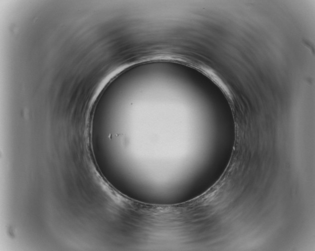 X0000096161148200801180846