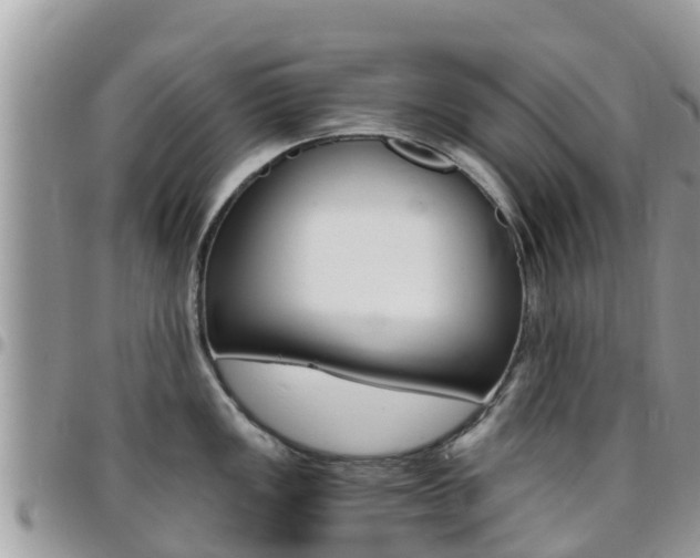 X0000096161149200801180846