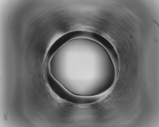 X0000096161152200801180846