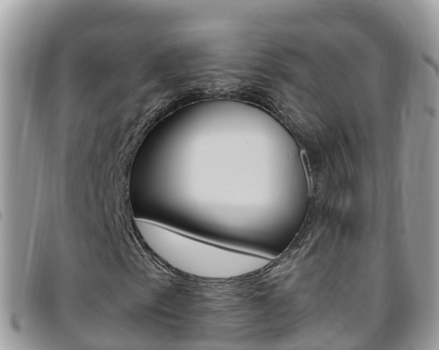 X0000096161153200801180845