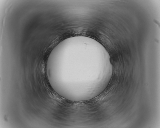 X0000096161154200801180845