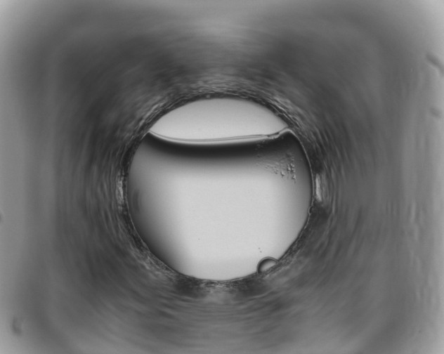 X0000096161155200801180845