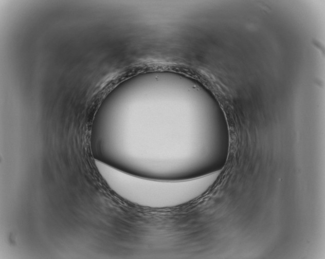 X0000096161157200801180845