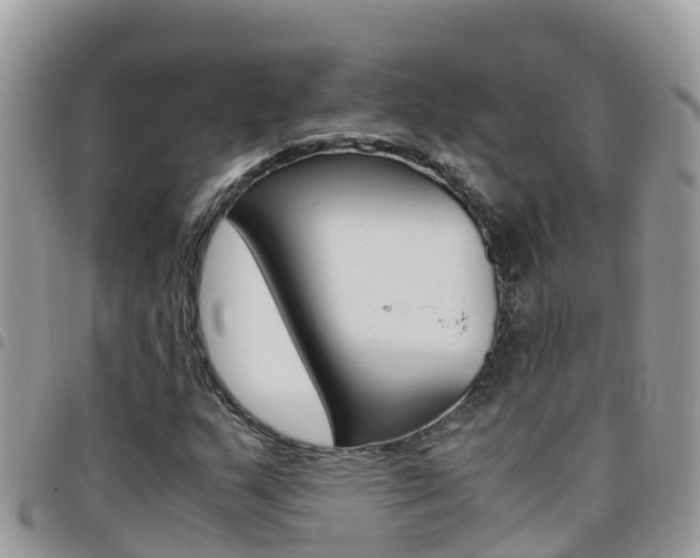 X0000096161159200801180845